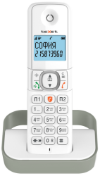 Бесшнуровой телефонный аппарат teXet TX-D5605A белый-серый - фото