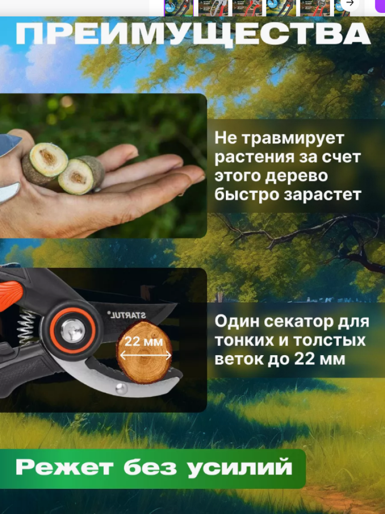 Секатор контактный 21см STARTUL GARDEN  арт.ST6410-01
