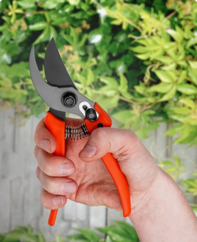 Секатор плоскостной 19см STARTUL GARDEN арт.ST6410-03