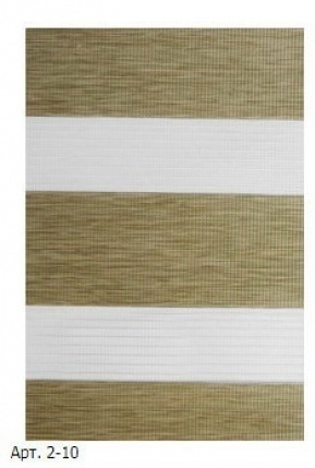 Штора рулонная мини 55*160 ШРМ ДН 055-2-10 - фото