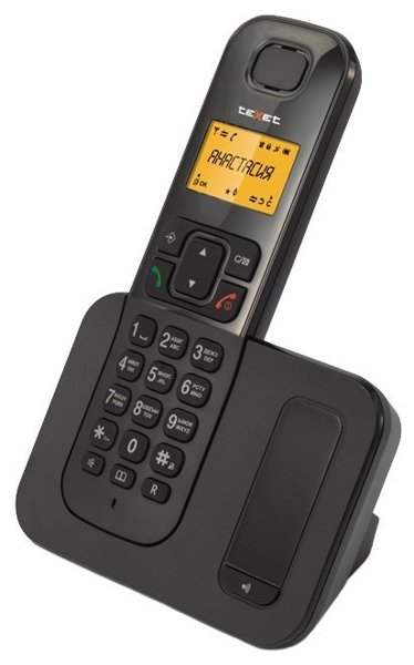 Бесшнуровой телефонный аппарат teXet TX-D6605А (черный) - фото