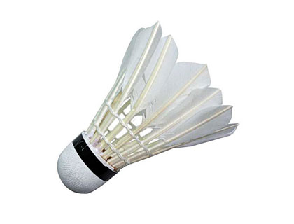 Волан перьевой SMP-06 - фото