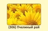Стол кухонный БЕСЕДА 1100х650 (306 Пчелиный рай)