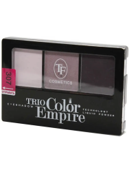 TF тени трехцвет. Trio Color Empire 307 аметист 11 гр - фото