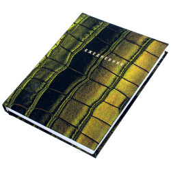 Ежедневник недат.  А6+ 128л  Green  обложка 7БЦ soft touch ЕЖФ24612806 - фото