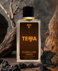 SN Еuroluxe  Trend Terra т/в 100 мл(Hermes Terra) - фото