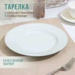 Тарелка 240мм мелкая ф.653 