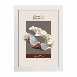 Рамка пласт. со стеклом 18х24 1611/14 арт.1611/14 - фото