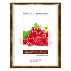 Рамка пластик. со стеклом 30х40 22/443 (коричневый мрамор) - фото