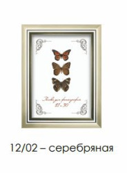 Рамка пластиковая со стеклом 30х40 12/02 (серебряная) - фото