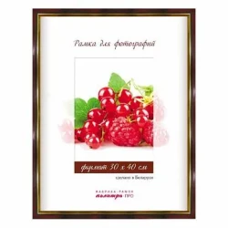 Рамка пластик.со стеклом 30х40 22/446В (бордовый мрамор) - фото