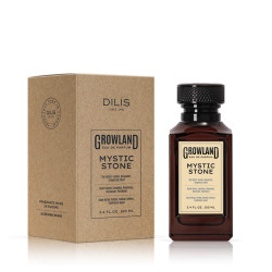 Парфюмерная вода муж. «Mystic Stone» 100 мл - фото