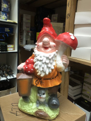 Гном средний - фото