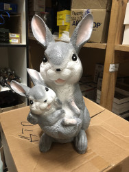 Заяц средний - фото